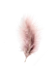 5 PLUMES TAUPE 10-15CM