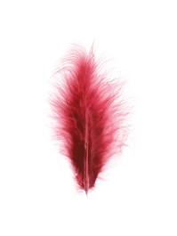 5 BURGUNDY FEATHERS  10-15CM