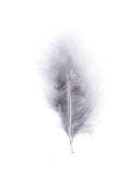 5 PLUMES GRIS 10-15CM