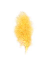 5 MANGO FEATHERS 10-15CM