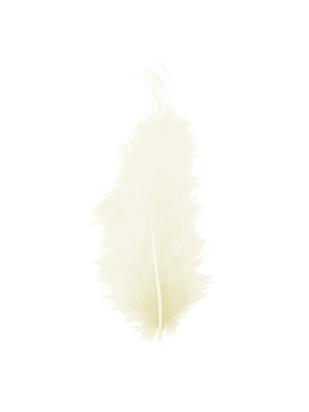 BAG OF IVORY FEATHERS 10G 5-10CM