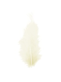 BAG OF IVORY FEATHERS 10G 5-10CM