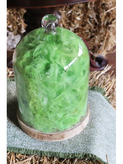 LIME GREEN FEATHER BOX 100G