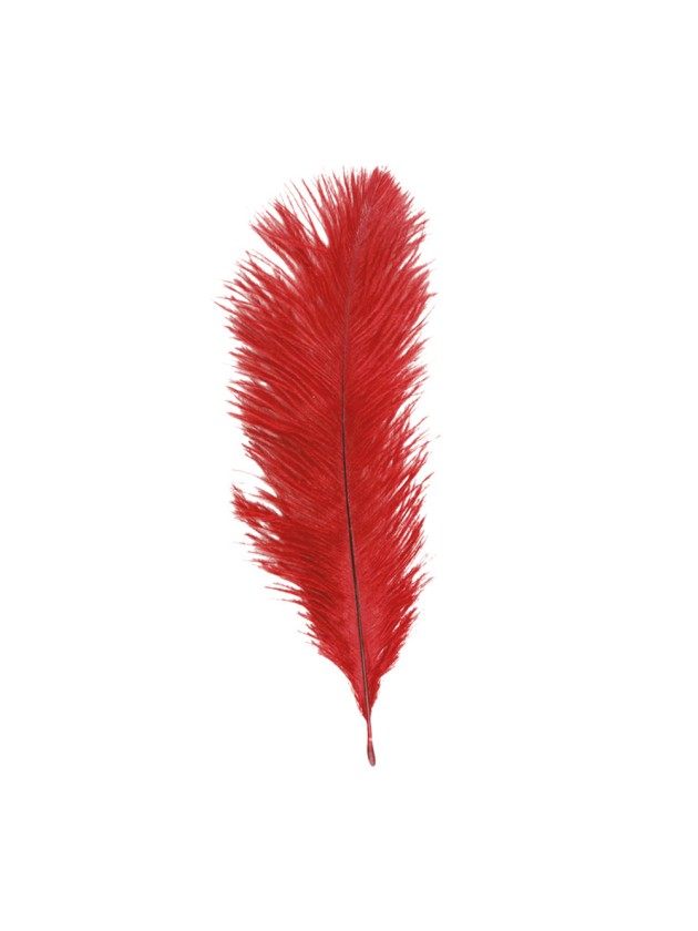 SACHET 5 PLUMES AUTRUCHE ROUGE 20-25CM