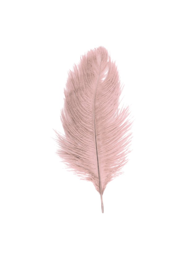 SACHET 5 PLUMES AUTRUCHE VIEUX ROSE 20-25CM