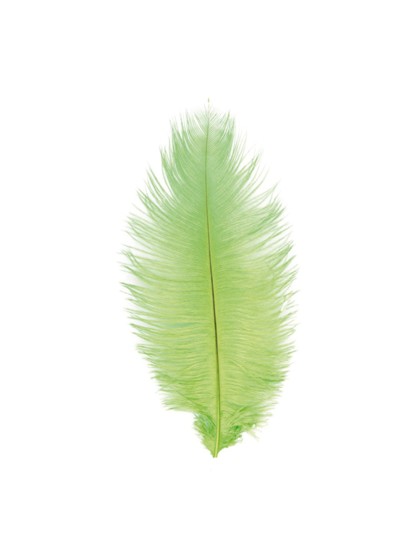 SACHET 2 PLUMES AUTRUCHE VERT LIME 30-35CM