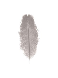 BAG OF 2 LIGHT GREY OSTRICH FEATHERS 30-35CM