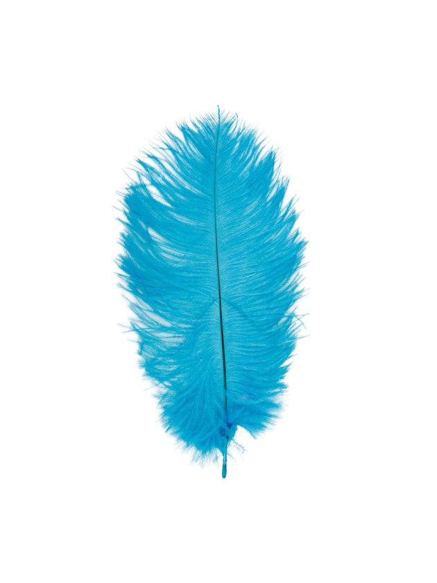 1 PLUME AUTRUCHE TURQUOISE 55-60CM
