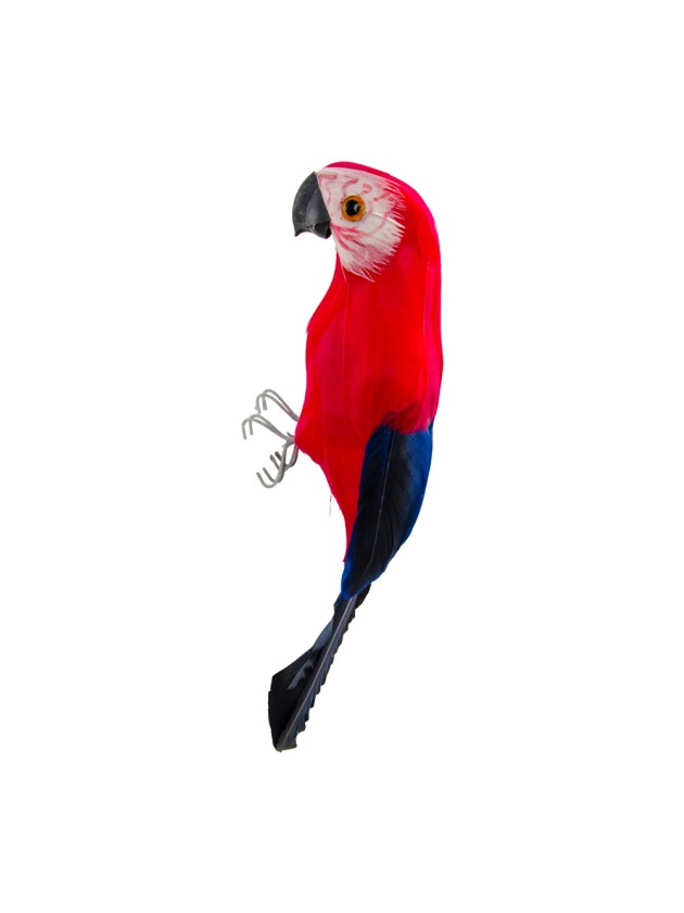 RED PARROT 5CM X 5CM X 20CM