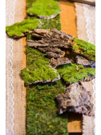 MOSS TABLE RIBBON 10CM X 1M