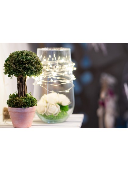 GREEN LITTLE TREE IN POT DIA 12CM X 21.5CM