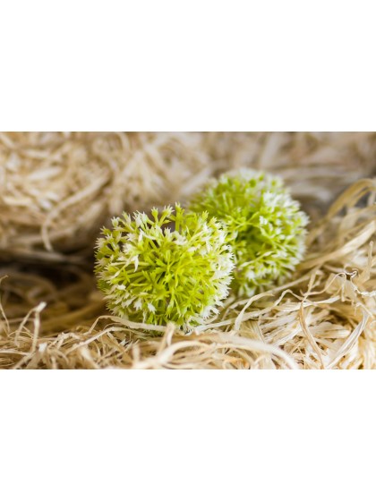 SET 6 GRASS BALLS DIA 8CM