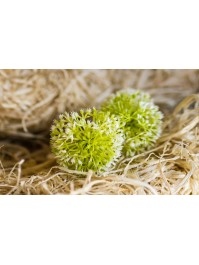 LOT 6 BOULES DECO HERBE DIA 8CM