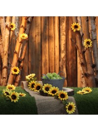 LOT 12 TOURNESOLS DIA 8CM X 1.5CM