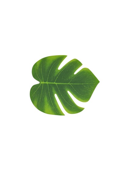 LOT 4 FEUILLES TROPICALES 21CM X 18CM