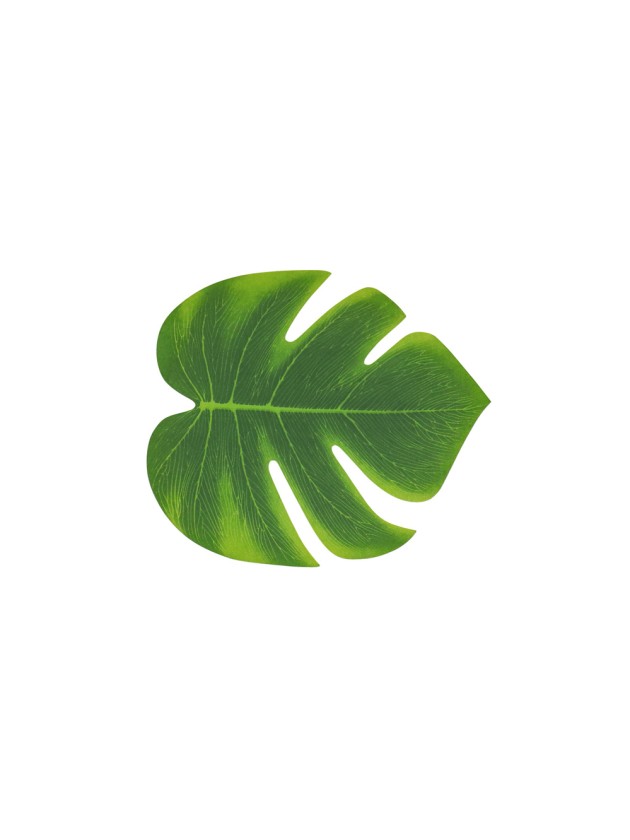 LOT 4 FEUILLES TROPICALES 21CM X 18CM