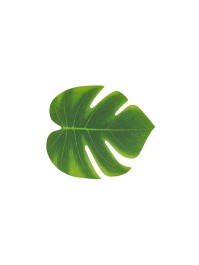 SET 4 TROPICAL LEAVES 21CM X 18CM