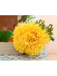 BUNCH OF 6 DAHLIA YELLOW 26CM