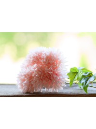 BUNCH OF 6 DAHLIA PASTEL PINK 26CM