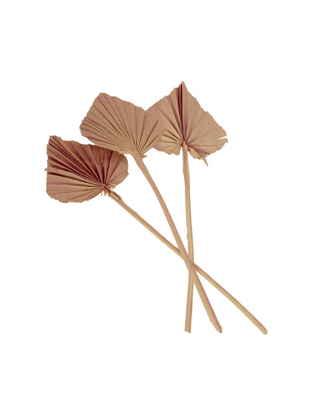 10 PALM SPEARS POWDER PINK 55CM