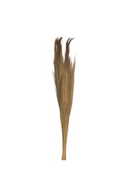 BOUQUET PAMPA GRASS 250G NATUREL 110CM