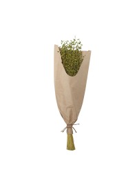 BOUQUET DE LIN 100G VERT CLAIR 60CM