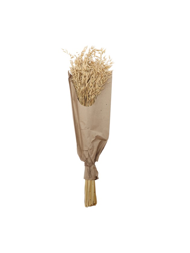 BOUQUET AVOINE NATUREL 100G 70CM