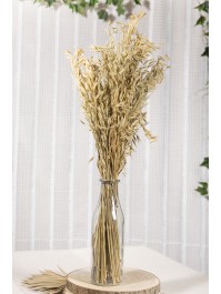 BUNCH OF NATURAL OAT 100GR 70CM