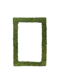 GREEN MOSS FRAME 60CM X 40CM