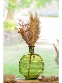 5 TIGES PAMPA D\'EAU 70CM