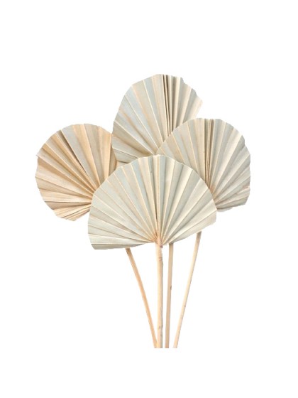 10 PALM ROUND LEAVES 50CM