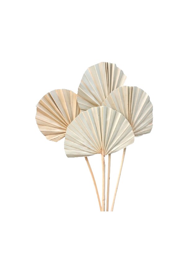 10 PALM ROUND LEAVES 50CM