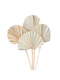 10 PALM ROUND LEAVES 50CM