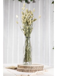 BUNCH OF PHALARIS NATURAL GREEN +/- 130GR +/- 70CM