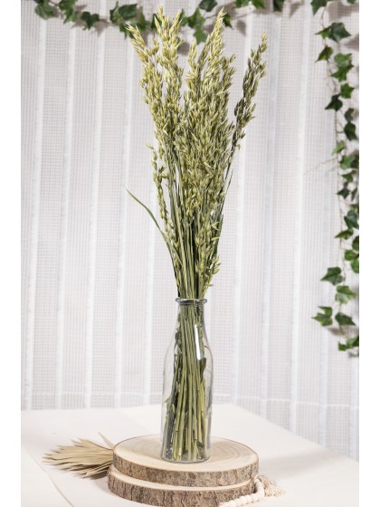 BUNCH HAVER AVENA NATURAL GREEN +/-180 GR +/-65CM