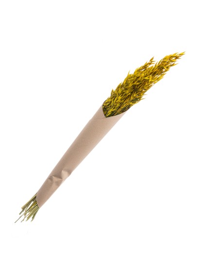 BUNCH HAVER AVENA BURNT YELLOW +/- 65GR +/- 65CM