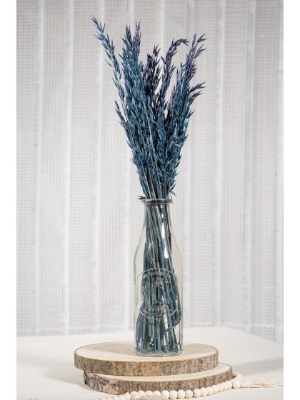 BUNCH HAVER AVENA BURNT BLUE +/- 65GR  +/- 65CM