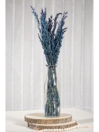 BOUQUET AVOINE BLEU ENV 65GR ENV 65CM