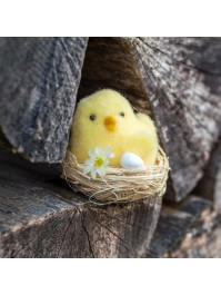 YELLOW CHICK IN NEST - 3 ASS DIA 6 CM X 6CM