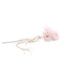 BUNCH OF 3 PINK POWDER SCABIOUS FLOWERS 13CM X 13CM X 55CM