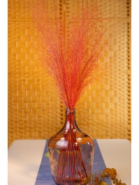 BOUQUET 50PCS MUEHLENBECKIA ROUGE 85-90CM