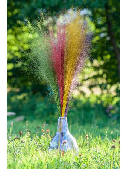 BOUQUET 50PCS MUEHLENBECKIA ROUGE 85-90CM