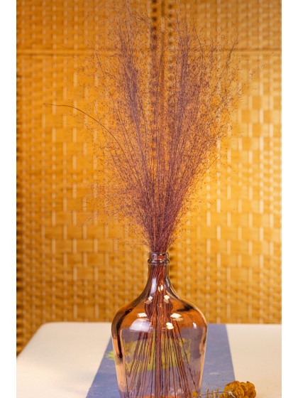 BOUQUET 50PCS MUEHLENBECKIA VIOLET 85-90CM