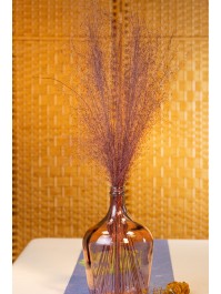 BOUQUET 50PCS MUEHLENBECKIA VIOLET 85-90CM