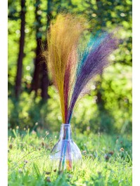 BUNCH OF 50PCS PURPLE MUEHLENBECKIA 85-90CM