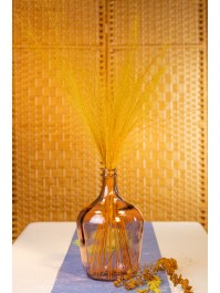 BUNCH OF 50PCS YELLOW MUEHLENBECKIA 85-90CM