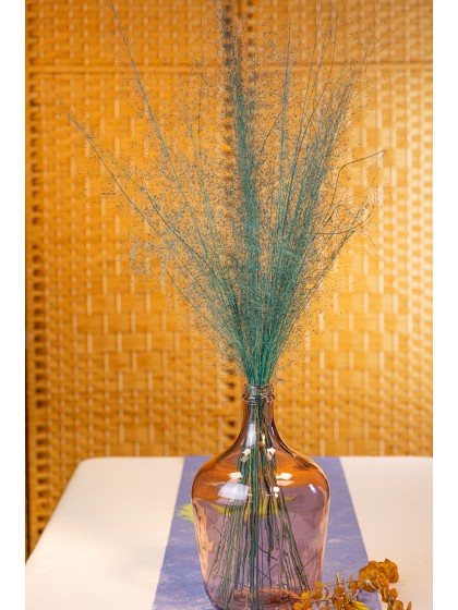 BOUQUET 50PCS MUEHLENBECKIA BLEU 85-90CM