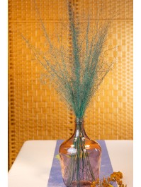 BUNCH OF 50PCS BLUE MUEHLENBECKIA 85-90CM