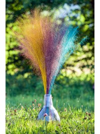 BOUQUET 50PCS MUEHLENBECKIA BLEU 85-90CM