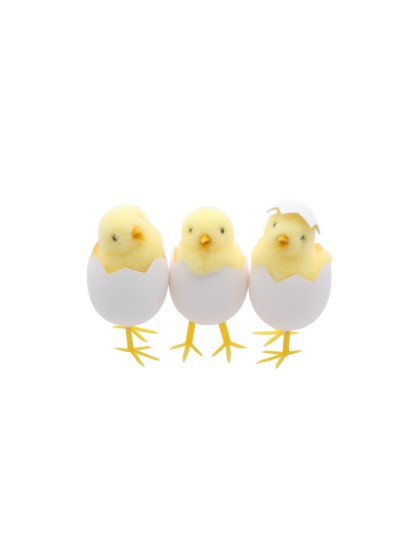 POUSSIN JAUNE DANS COQUILLE OEUF BLANC - 3 ASS DIA 5CM X 9CM